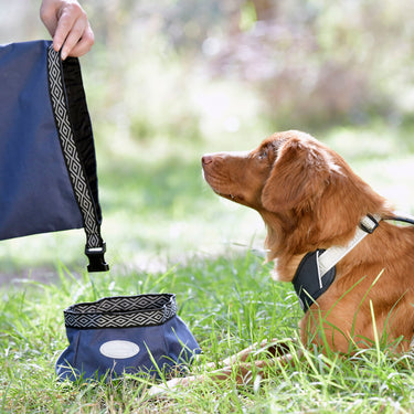 Buy Weatherbeeta Explorer Dog Water/Feed Bowl | Online for Canine