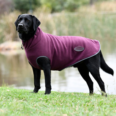 Buy Weatherbeeta Comfitec Maroon/Grey Fleece Zip Dog Coat | Online for Canine