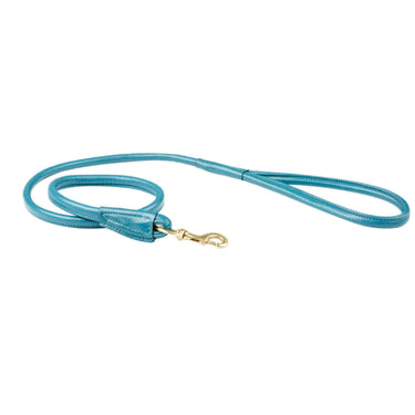 Buy Weatherbeeta Rolled Leather Teal Dog Lead | Online for Canine