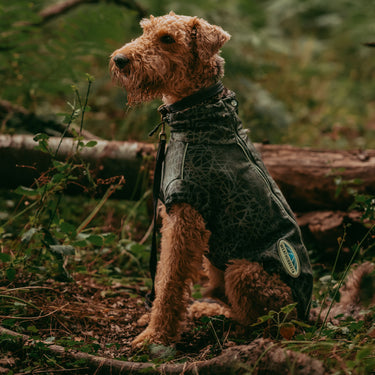 Buy Weatherbeeta Comfitec Reflective Print Active Black/Reflective Rainbow Dog Coat | Online for Canine